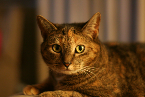 20090123