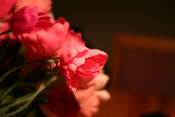 20090206