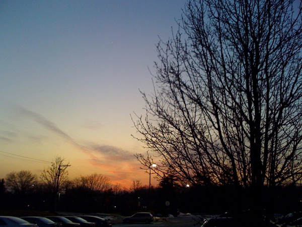 20090306