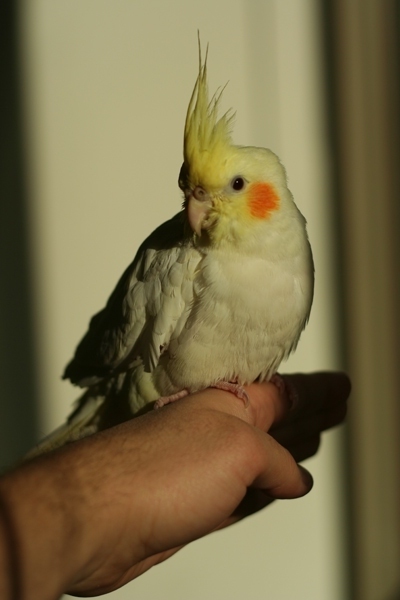 20090322