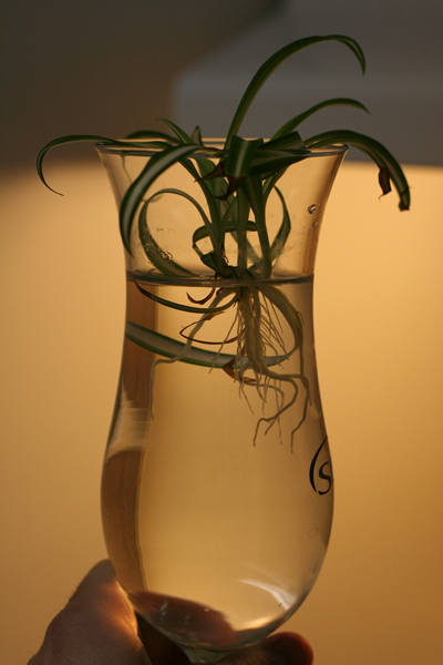 20090330