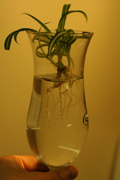 20090404