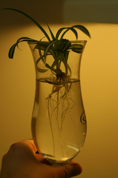 20090415