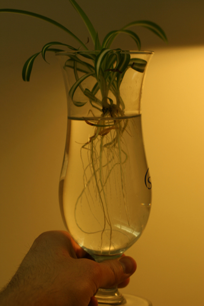 20090422