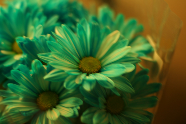 20090529