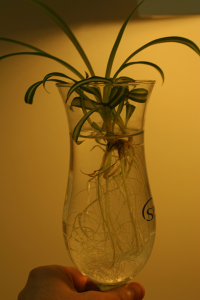 20090601