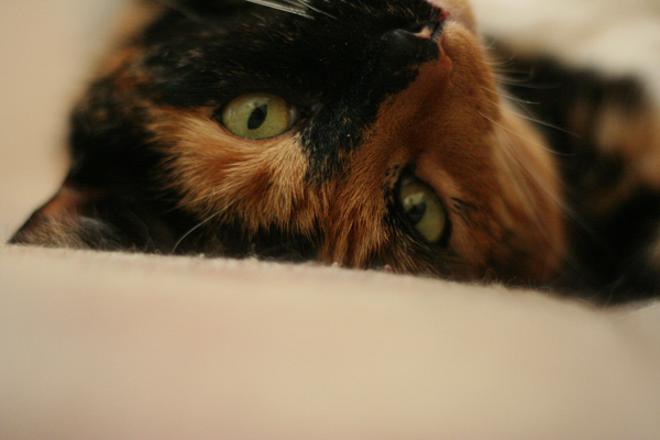 20090708
