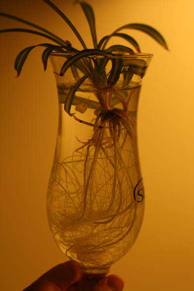 20090712