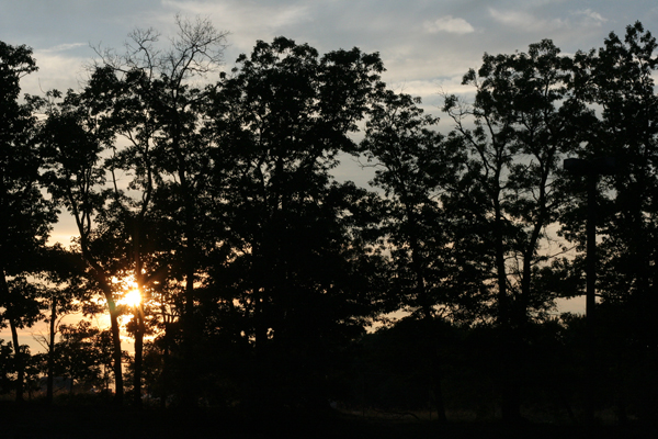 20090719