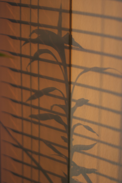 20090731
