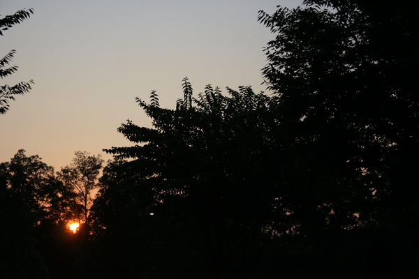 20090812