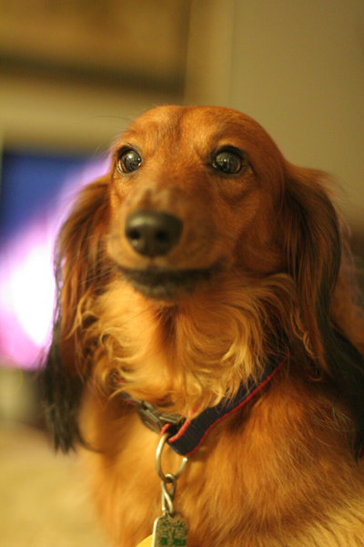 20090820