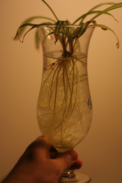 20090825