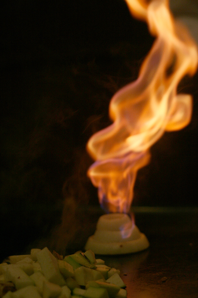 20091121