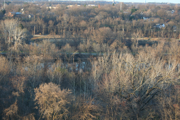20091129