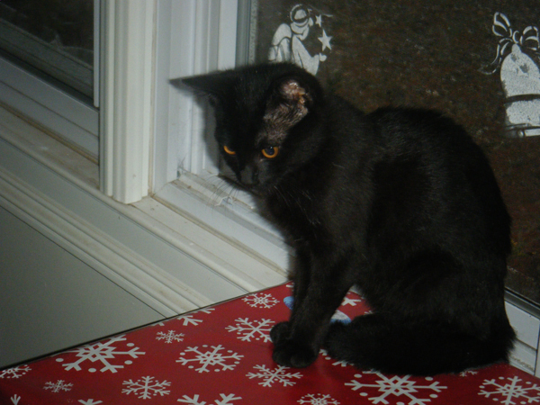 20091213