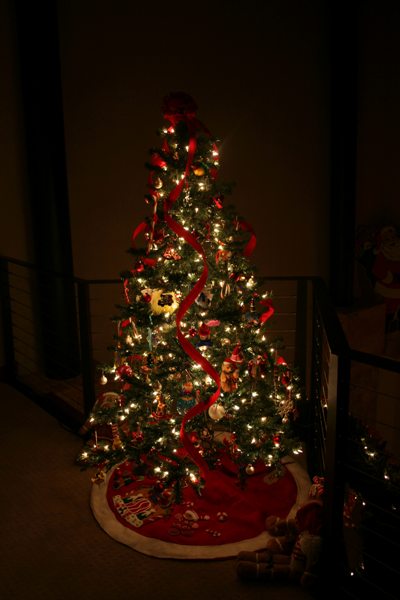 20091223