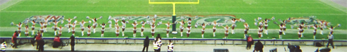 Cheerleader! So and So! What's Her Face! The Ugly One!