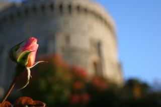 Windsor Castle