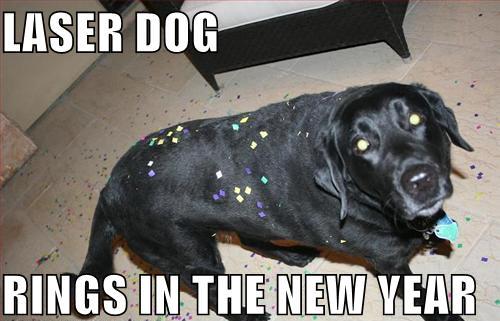 laserdog