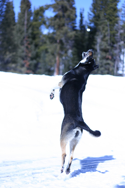 coloradotrip_cshulse_05
