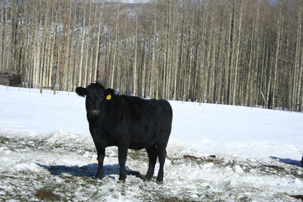 coloradotrip_cshulse_06