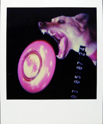 photooftheday19880201