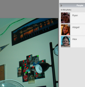 picasa-wallframe
