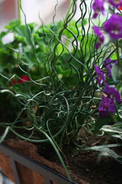 coreyhulse_garden_100523-190550